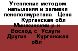 Утепление методом напыления и заливки пенополиуретана › Цена ­ 390 - Курганская обл., Мишкинский р-н, Восход с. Услуги » Другие   . Курганская обл.